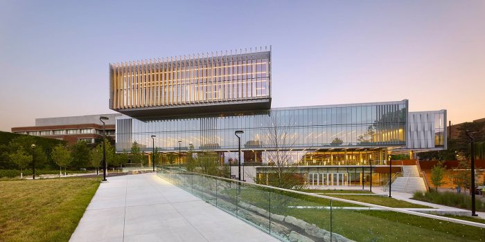 York University York University